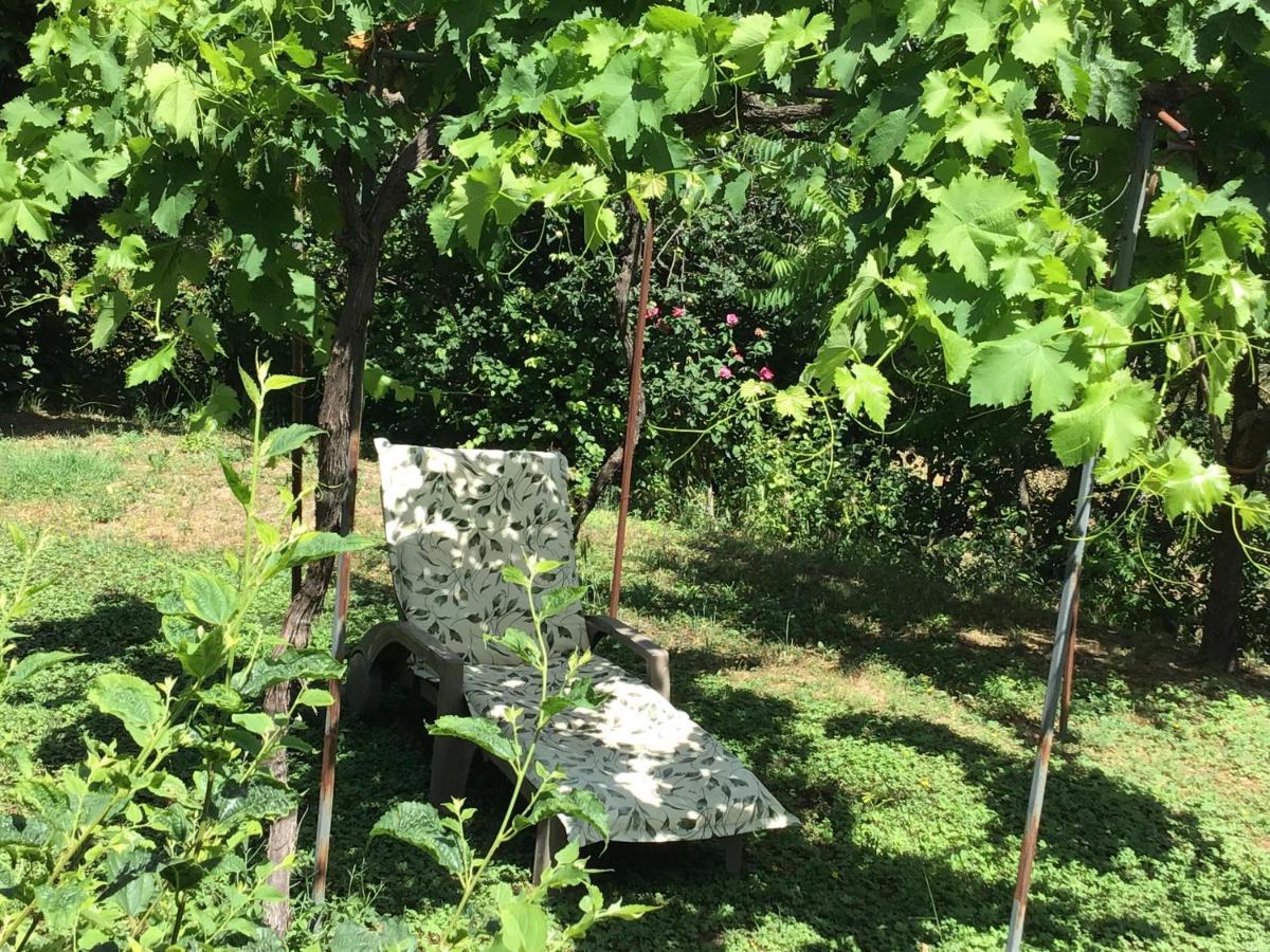 Appartement La Casita - Deux pièces dans jardin à Lorgues Extérieur photo