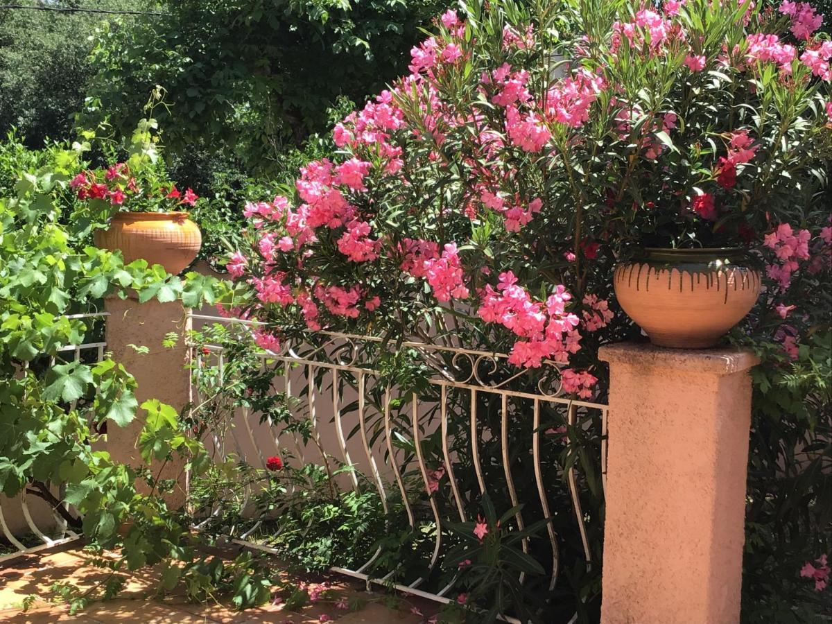 Appartement La Casita - Deux pièces dans jardin à Lorgues Extérieur photo